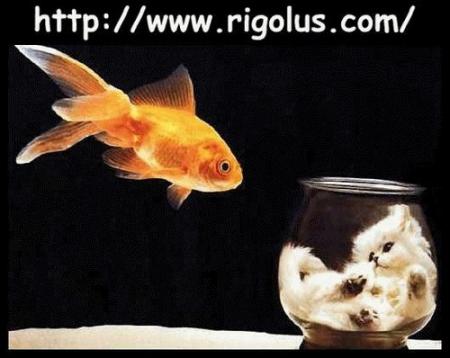 Et Vice Versa 