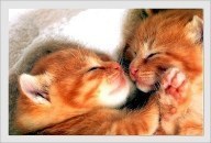 CUTE !!