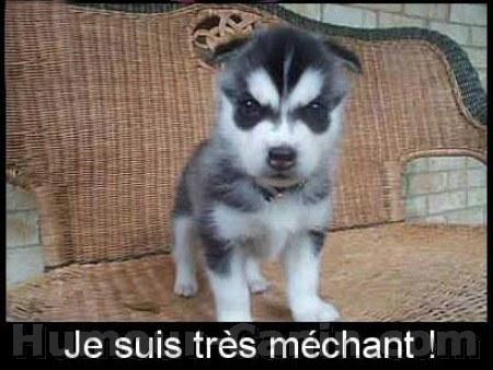 Beware !!