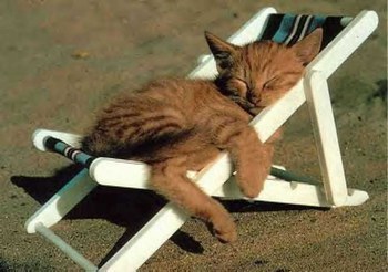 Chaise Longue 