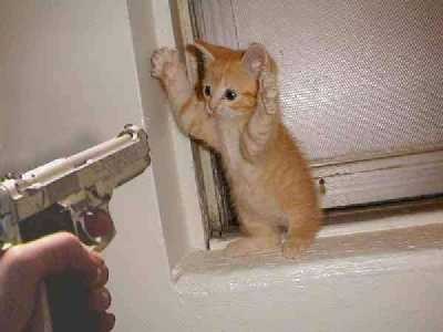 Les Pattes en l'air !!!