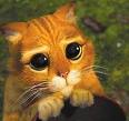 Please 