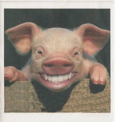 Sourire d'enfer 