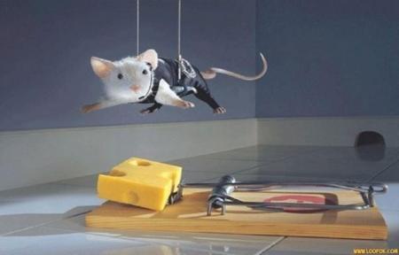 Spy Souris 