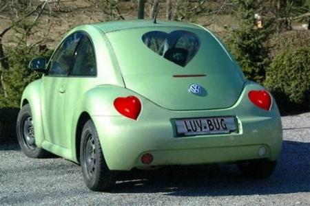 Coccinelle